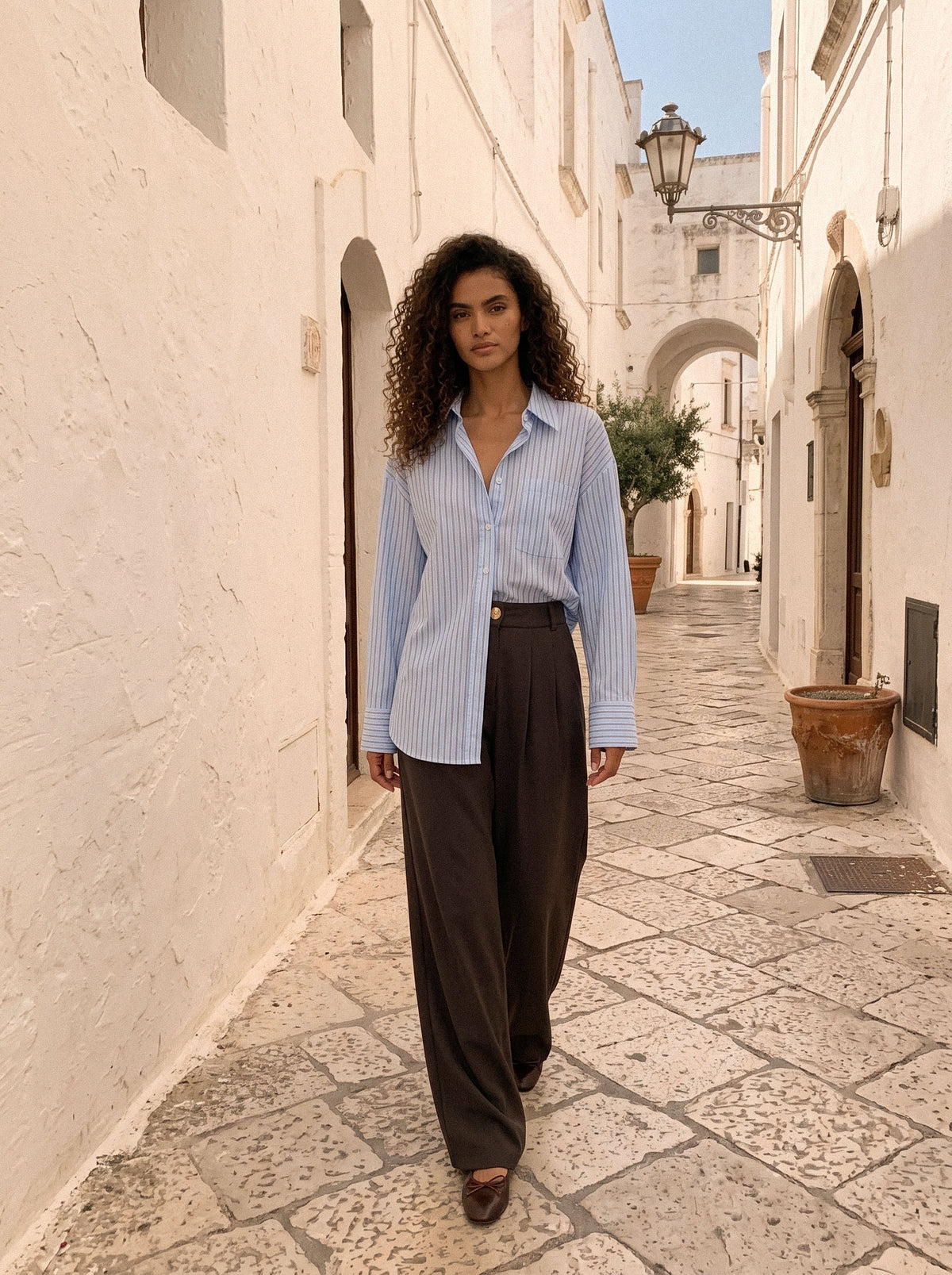 Elara High Waist Pleated Pants – Brown